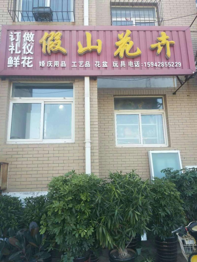 假山花卉马犬养殖
