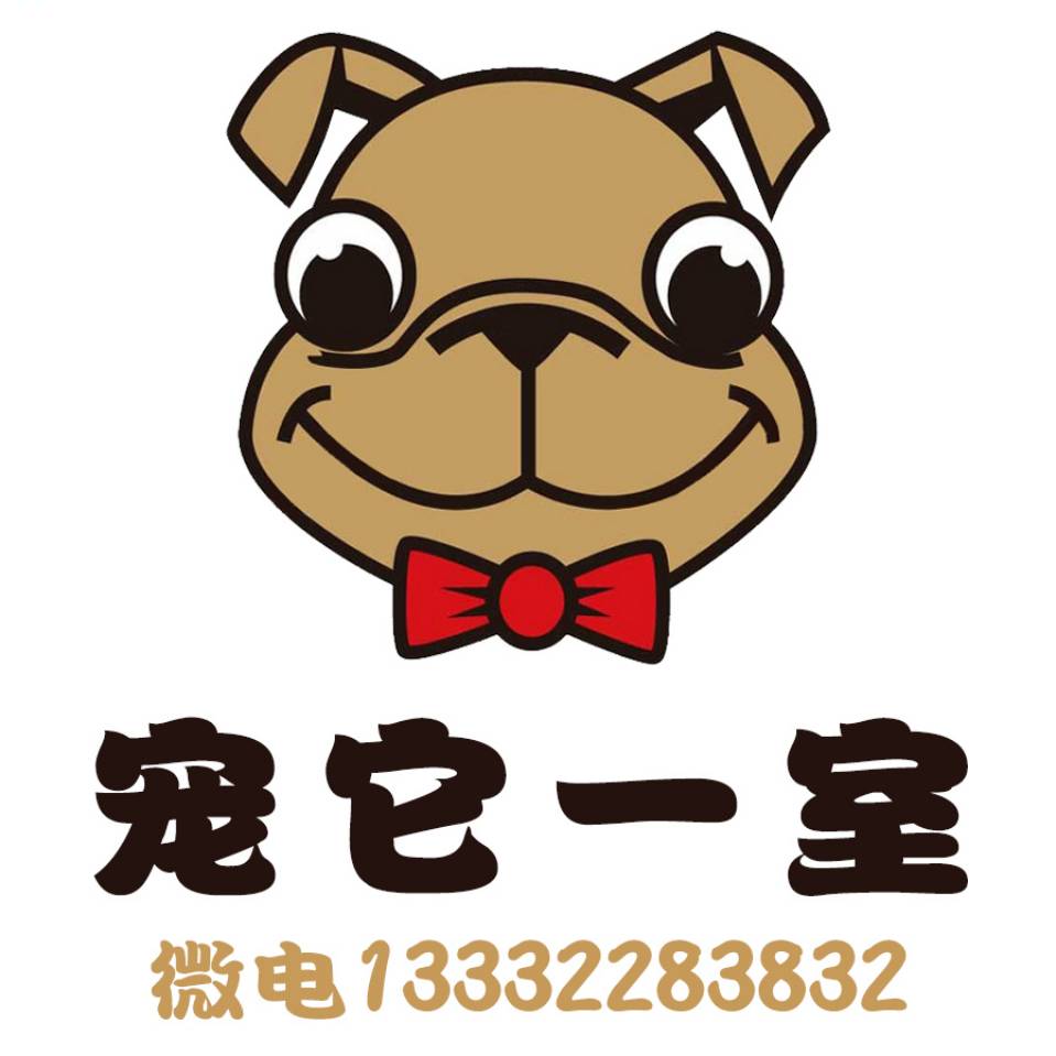 宠它一室宠物会所