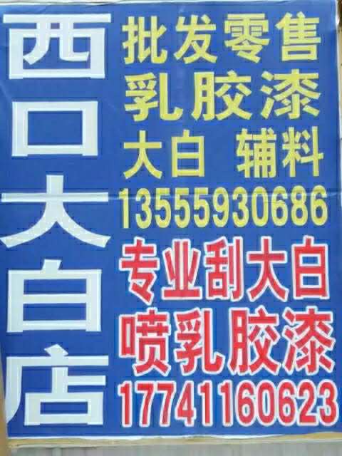震辉专业家装大白