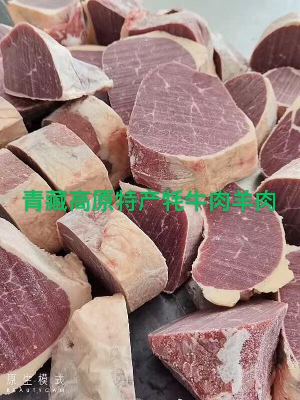 金煜酒行