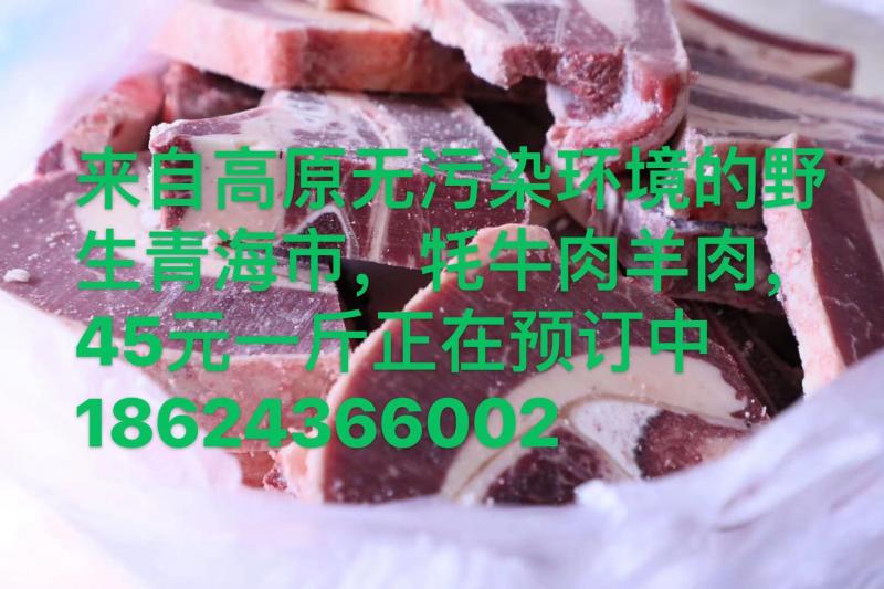 金煜酒行