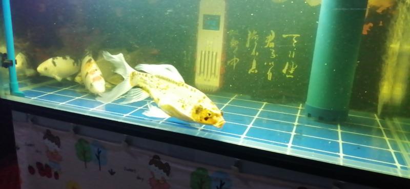 王