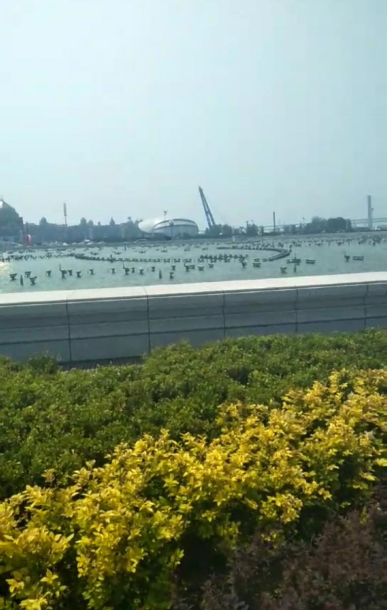 小鱼🐟